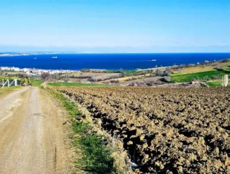 Tekirdağ Barbarosta Lüxs Villa Projeni Yap. Mütahitlere Kat Karşılığı Ver  Yüksek Kazanç Sağla Full Deniz Manzaralı Villa İmarlı Arazi