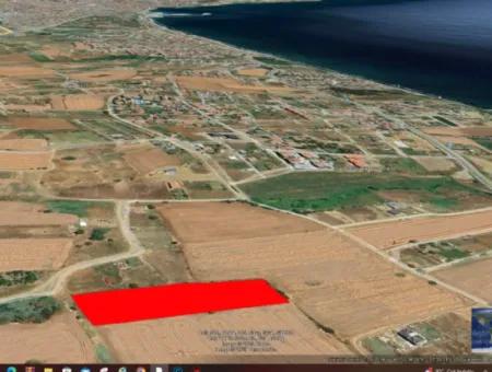 Tekirdağ Barbarosta Acil Satılık Lüxs Proje Uygula Full Deniz Ve Doğa Manzarasıyla Harika Koopretif Site Yap. Yüksek Kazanç Garantisi