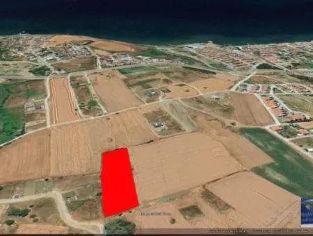 Tekirdağ Barbarosta Acil Satılık Lüxs Proje Uygula Full Deniz Ve Doğa Manzarasıyla Harika Koopretif Site Yap. Yüksek Kazanç Garantisi
