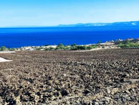 Yüksek Kazanç Garantisi 44 Dairelik Toplu Konut Alanı Yatırımını Yap Mütahitlere Ver Karını İkiye Katla