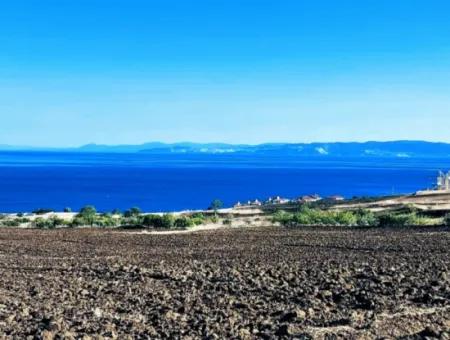 Yüksek Kazanç Garantisi 44 Dairelik Toplu Konut Alanı Yatırımını Yap Mütahitlere Ver Karını İkiye Katla