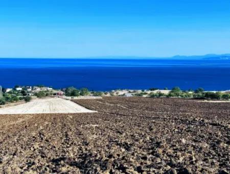 Yüksek Kazanç Garantisi 44 Dairelik Toplu Konut Alanı Yatırımını Yap Mütahitlere Ver Karını İkiye Katla