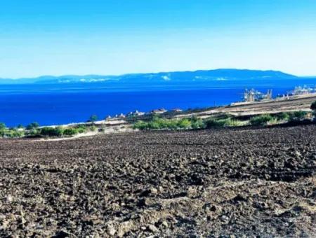 Yüksek Kazanç Garantisi 44 Dairelik Toplu Konut Alanı Yatırımını Yap Mütahitlere Ver Karını İkiye Katla