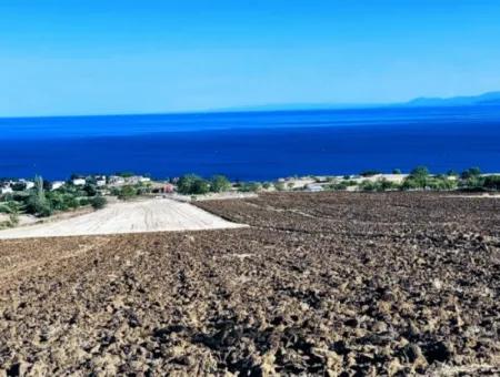 Yüksek Kazanç Garantisi 44 Dairelik Toplu Konut Alanı Yatırımını Yap Mütahitlere Ver Karını İkiye Katla