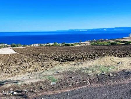 Yüksek Kazanç Garantisi 44 Dairelik Toplu Konut Alanı Yatırımını Yap Mütahitlere Ver Karını İkiye Katla
