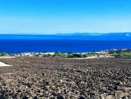 Yüksek Kazanç Garantisi 44 Dairelik Toplu Konut Alanı Yatırımını Yap Mütahitlere Ver Karını İkiye Katla