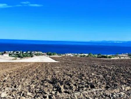 Yüksek Kazanç Garantisi 44 Dairelik Toplu Konut Alanı Yatırımını Yap Mütahitlere Ver Karını İkiye Katla