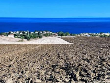 Yüksek Kazanç Garantisi 44 Dairelik Toplu Konut Alanı Yatırımını Yap Mütahitlere Ver Karını İkiye Katla