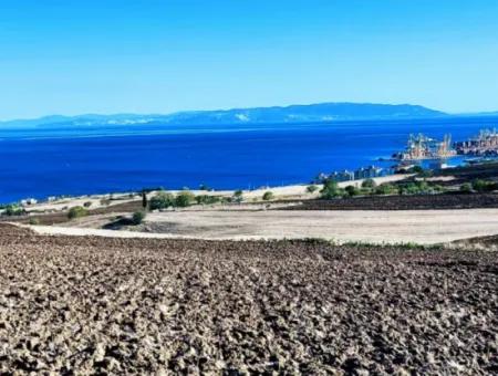 Yüksek Kazanç Garantisi 44 Dairelik Toplu Konut Alanı Yatırımını Yap Mütahitlere Ver Karını İkiye Katla