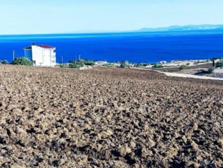 Yüksek Kazanç Garantisi 44 Dairelik Toplu Konut Alanı Yatırımını Yap Mütahitlere Ver Karını İkiye Katla