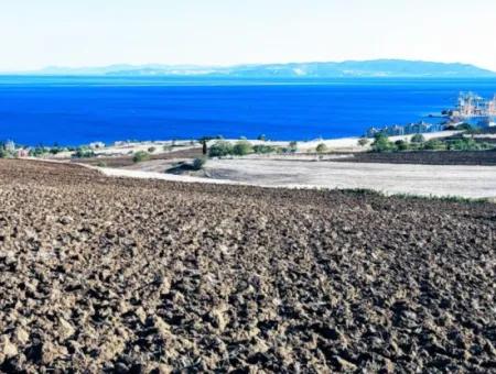 Yüksek Kazanç Garantisi 44 Dairelik Toplu Konut Alanı Yatırımını Yap Mütahitlere Ver Karını İkiye Katla