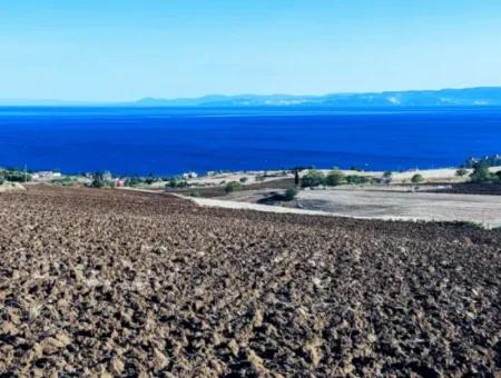 Yüksek Kazanç Garantisi 44 Dairelik Toplu Konut Alanı Yatırımını Yap Mütahitlere Ver Karını İkiye Katla