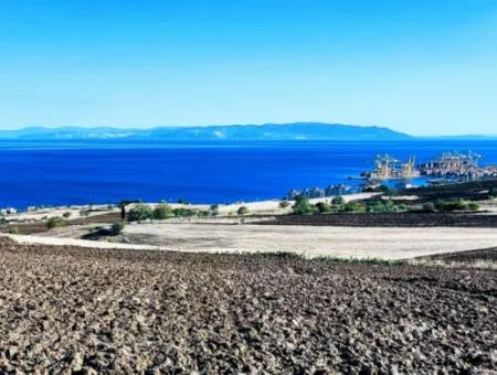 Yüksek Kazanç Garantisi 44 Dairelik Toplu Konut Alanı Yatırımını Yap Mütahitlere Ver Karını İkiye Katla