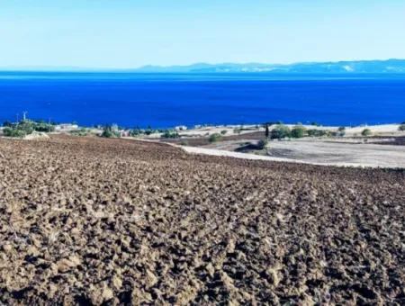 Yüksek Kazanç Garantisi 44 Dairelik Toplu Konut Alanı Yatırımını Yap Mütahitlere Ver Karını İkiye Katla