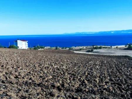 Yüksek Kazanç Garantisi 44 Dairelik Toplu Konut Alanı Yatırımını Yap Mütahitlere Ver Karını İkiye Katla