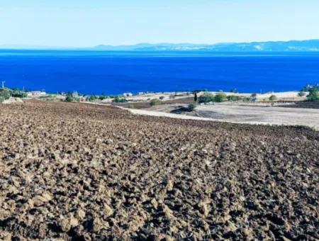 Yüksek Kazanç Garantisi 44 Dairelik Toplu Konut Alanı Yatırımını Yap Mütahitlere Ver Karını İkiye Katla