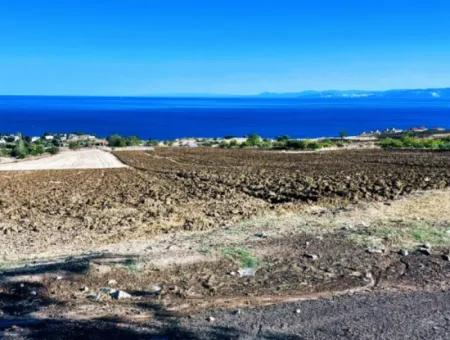 Yüksek Kazanç Garantisi 44 Dairelik Toplu Konut Alanı Yatırımını Yap Mütahitlere Ver Karını İkiye Katla