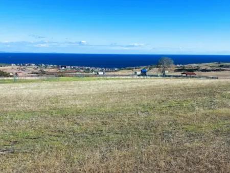 Acil Satılık Lüxs Villa Projesi Uygula Yüksek Kaznç Sağla Yerin Konumu Muhteşem Tamamen Full Deniz Ve Doğa Manzaralı