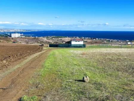 Acil Satılık Lüxs Villa Projesi Uygula Yüksek Kaznç Sağla Yerin Konumu Muhteşem Tamamen Full Deniz Ve Doğa Manzaralı