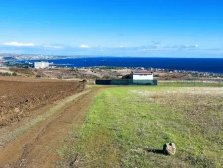 Acil Satılık Lüxs Villa Projesi Uygula Yüksek Kaznç Sağla Yerin Konumu Muhteşem Tamamen Full Deniz Ve Doğa Manzaralı