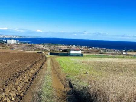 Acil Satılık Lüxs Villa Projesi Uygula Yüksek Kaznç Sağla Yerin Konumu Muhteşem Tamamen Full Deniz Ve Doğa Manzaralı