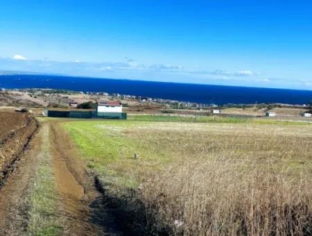 Acil Satılık Lüxs Villa Projesi Uygula Yüksek Kaznç Sağla Yerin Konumu Muhteşem Tamamen Full Deniz Ve Doğa Manzaralı