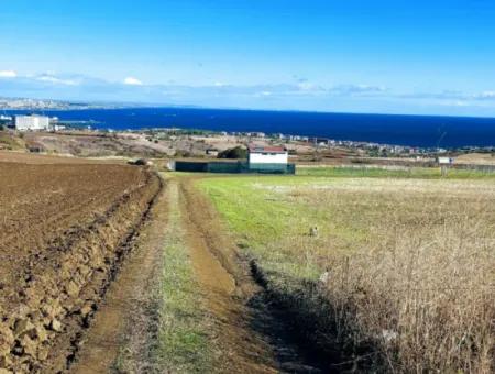 Acil Satılık Lüxs Villa Projesi Uygula Yüksek Kaznç Sağla Yerin Konumu Muhteşem Tamamen Full Deniz Ve Doğa Manzaralı