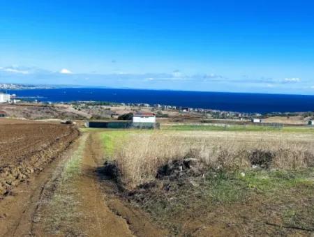 Acil Satılık Lüxs Villa Projesi Uygula Yüksek Kaznç Sağla Yerin Konumu Muhteşem Tamamen Full Deniz Ve Doğa Manzaralı