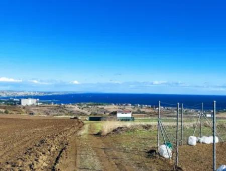 Acil Satılık Lüxs Villa Projesi Uygula Yüksek Kaznç Sağla Yerin Konumu Muhteşem Tamamen Full Deniz Ve Doğa Manzaralı