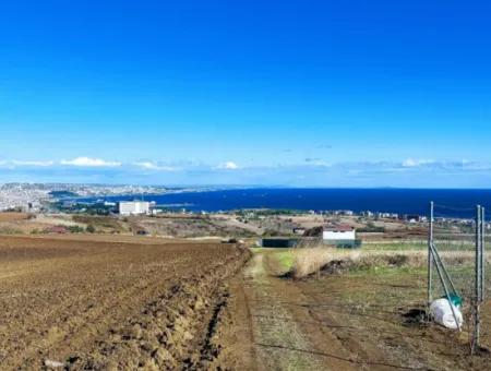 Acil Satılık Lüxs Villa Projesi Uygula Yüksek Kaznç Sağla Yerin Konumu Muhteşem Tamamen Full Deniz Ve Doğa Manzaralı