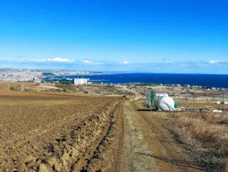 Acil Satılık Lüxs Villa Projesi Uygula Yüksek Kaznç Sağla Yerin Konumu Muhteşem Tamamen Full Deniz Ve Doğa Manzaralı