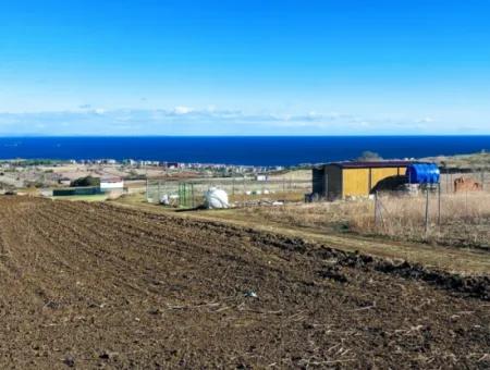 Acil Satılık Lüxs Villa Projesi Uygula Yüksek Kaznç Sağla Yerin Konumu Muhteşem Tamamen Full Deniz Ve Doğa Manzaralı