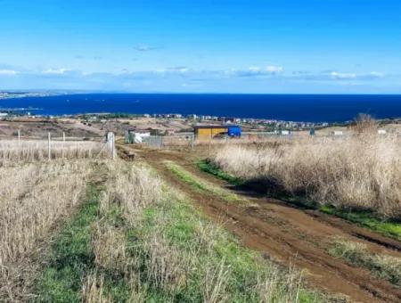 Acil Satılık Lüxs Villa Projesi Uygula Yüksek Kaznç Sağla Yerin Konumu Muhteşem Tamamen Full Deniz Ve Doğa Manzaralı