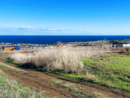 Acil Satılık Lüxs Villa Projesi Uygula Yüksek Kaznç Sağla Yerin Konumu Muhteşem Tamamen Full Deniz Ve Doğa Manzaralı