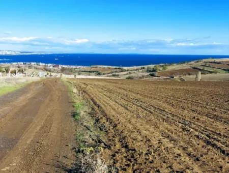 Acil Satılık Lüxs Villa Projesi Uygula Yüksek Kaznç Sağla Yerin Konumu Muhteşem Tamamen Full Deniz Ve Doğa Manzaralı