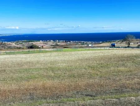 Acil Satılık Lüxs Villa Projesi Uygula Yüksek Kaznç Sağla Yerin Konumu Muhteşem Tamamen Full Deniz Ve Doğa Manzaralı