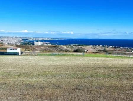 Acil Satılık Lüxs Villa Projesi Uygula Yüksek Kaznç Sağla Yerin Konumu Muhteşem Tamamen Full Deniz Ve Doğa Manzaralı