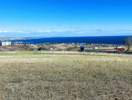 Acil Satılık Lüxs Villa Projesi Uygula Yüksek Kaznç Sağla Yerin Konumu Muhteşem Tamamen Full Deniz Ve Doğa Manzaralı