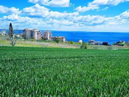 Tekirdağ Barbarosta Acil Satılık Lüxs Proje Uygula Full Deniz Ve Doğa Manzarasıyla Harika Koopretif Site Yap. Yüksek Kazanç Garantisi