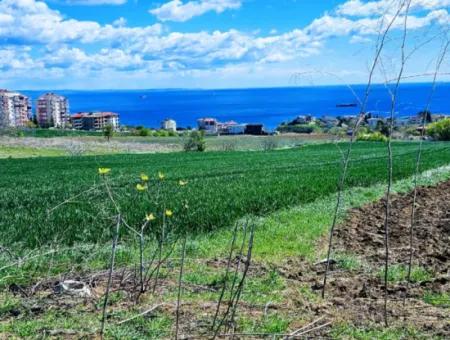 Tekirdağ Barbarosta Acil Satılık Lüxs Proje Uygula Full Deniz Ve Doğa Manzarasıyla Harika Koopretif Site Yap. Yüksek Kazanç Garantisi