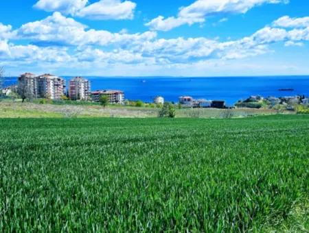 Tekirdağ Barbarosta Acil Satılık Lüxs Proje Uygula Full Deniz Ve Doğa Manzarasıyla Harika Koopretif Site Yap. Yüksek Kazanç Garantisi