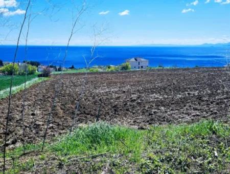 Tekirdağ Barbarosta Acil Satılık Lüxs Proje Uygula Full Deniz Ve Doğa Manzarasıyla Harika Koopretif Site Yap. Yüksek Kazanç Garantisi