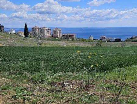 Tekirdağ Barbarosta Acil Satılık Lüxs Proje Uygula Full Deniz Ve Doğa Manzarasıyla Harika Koopretif Site Yap. Yüksek Kazanç Garantisi