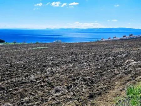 Tekirdağ Barbarosta Acil Satılık Lüxs Proje Uygula Full Deniz Ve Doğa Manzarasıyla Harika Koopretif Site Yap. Yüksek Kazanç Garantisi