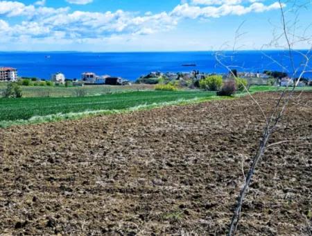 Tekirdağ Barbarosta Acil Satılık Lüxs Proje Uygula Full Deniz Ve Doğa Manzarasıyla Harika Koopretif Site Yap. Yüksek Kazanç Garantisi