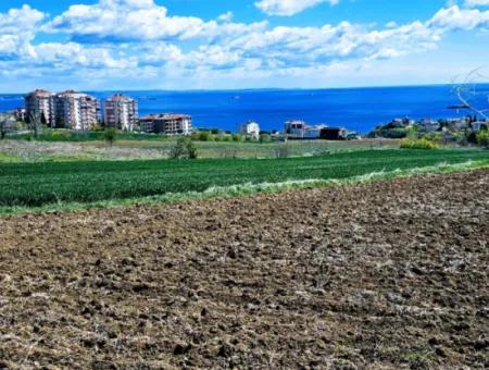 Tekirdağ Barbarosta Acil Satılık Lüxs Proje Uygula Full Deniz Ve Doğa Manzarasıyla Harika Koopretif Site Yap. Yüksek Kazanç Garantisi