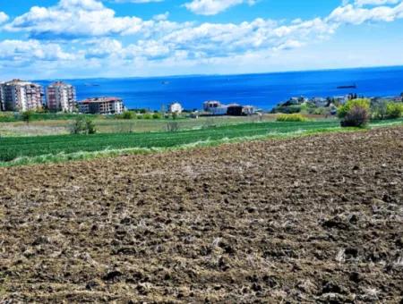 Tekirdağ Barbarosta Acil Satılık Lüxs Proje Uygula Full Deniz Ve Doğa Manzarasıyla Harika Koopretif Site Yap. Yüksek Kazanç Garantisi