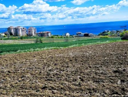 Tekirdağ Barbarosta Acil Satılık Lüxs Proje Uygula Full Deniz Ve Doğa Manzarasıyla Harika Koopretif Site Yap. Yüksek Kazanç Garantisi