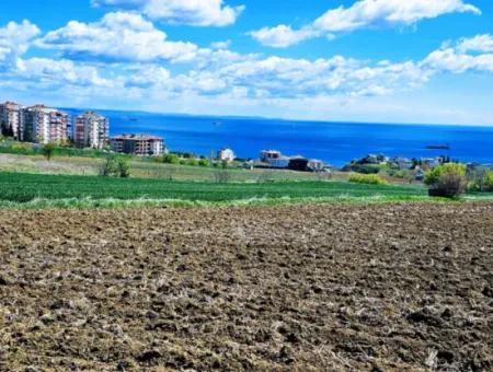 Tekirdağ Barbarosta Acil Satılık Lüxs Proje Uygula Full Deniz Ve Doğa Manzarasıyla Harika Koopretif Site Yap. Yüksek Kazanç Garantisi