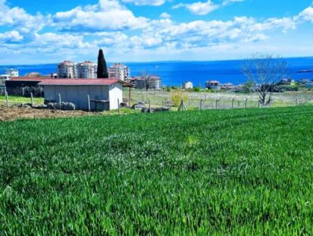 Tekirdağ Barbarosta Acil Satılık Lüxs Proje Uygula Full Deniz Ve Doğa Manzarasıyla Harika Koopretif Site Yap. Yüksek Kazanç Garantisi